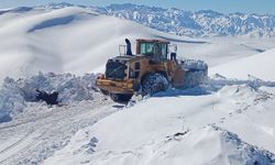 Hakkari'de, 284 yerleşim yerinin yolu kardan kapandı