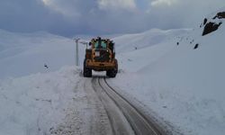 Hakkari'de 263 yerleşim yerinin yolu ulaşıma kapandı