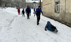 Yüksekova'da kar yağışını fırsata çeviren çocuklar doyasıya eğlendi