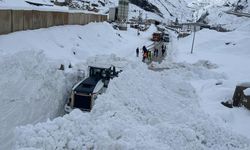 Hakkari-Çukurca kara yoluna düşen çığ temizlendi