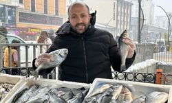 Yüksekova’da balık tezgahlarına yoğun ilgi