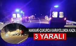 Hakkari'de otomobil takla attı: 3 yaralı