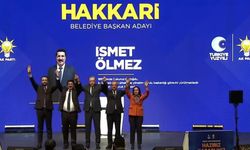 Cumhurbaşkanı Erdoğan, AK Parti Hakkari Belediye Başkan adayını açıkladı