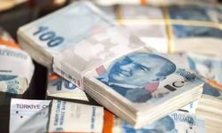 Türkiye'nin vergi rekortmeni belli oldu