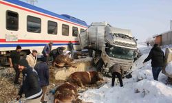 Yolcu treni, hayvan yüklü tıra çarptı: 2 kişi hayatını kaybetti