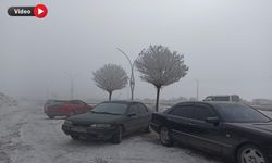 Yüksekova'da soğuk hava ve sis