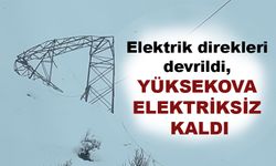 Elektrik direkleri devrildi, Yüksekova elektriksiz kaldı