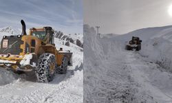 Yüksekova'da köy ve mezra yollarında karla mücadele