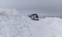 Esendere'de 5 metrelik karla mücadele