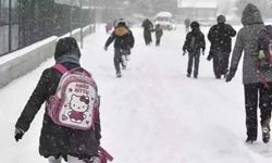 Hakkari genelinde okullara 'kar' tatili