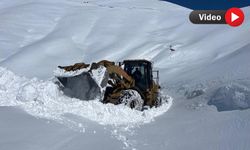 Yüksekova’da karla mücadele sürüyor