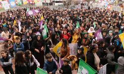 Çukurca'da renkli Newroz kutlaması