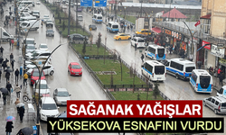 Sağanak yağışlar Yüksekova esnafını vurdu