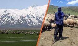 Yüksekova'da 5 çoban İran’a sınır dışı edildi: Besicilere 850 bin TL ceza kesildi!