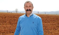 Maçoğlu'ndan, Tunceli Belediyesi'nin borcu hakkında açıklama
