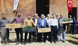 Şemdinli'de çiftçilere 60 bin sebze fidesi dağıtıldı