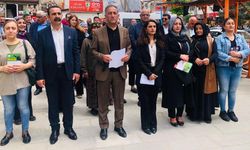 Hakkari'de Kürt Dil Bayramı etkinliği