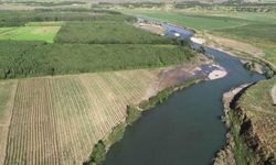 Kaybolan Alzheimer hastasının cesedi Dicle Nehri'nde bulundu