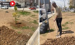 Yüksekova’da orta refüj protestosu: Toprağı kazıp limon fidanı dikti