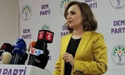 DEM Parti kayyıma karşı Hakkari'de miting düzenleyecek