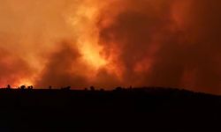 Diyarbakır-Mardin yangını hakkında itfaiye raporu yayınlandı