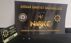 Şırnak’ta kaçakçılık ve asayiş operasyonlarında 27 kişiye işlem yapıldı