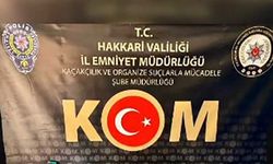 Hakkari’de tefecilik operasyonunda 5 kişi tutuklandı