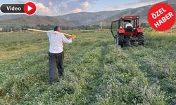 Yüksek zamlar Yüksekova’daki çiftçiyi de vurdu