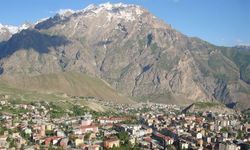 İşsizlik oranı en yüksek il Hakkari oldu