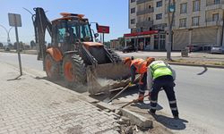 İpekyolu'ndaki çöpler temizleniyor