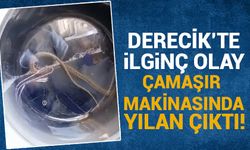 Derecik'te ilginç olay! Çamaşır Makinasında Yılan Çıktı