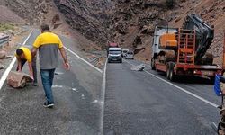 Hakkari-Çukurca karayoluna dev kayalar düştü