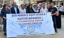 Hakkari Emek ve  Demokrasi Platformundan 1 Eylül Dünya Barış Günü Mesajı