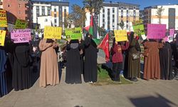 Gazze'deki soykırım Yüksekova'da protesto edildi