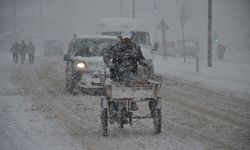 Van'ın 5 ilçesi için kar yağışı uyarısı!