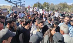 Rojin Kabaiş'in ölümü Van'da protesto edildi