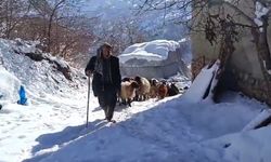 Bahçesaraylı vatandaşların zorlu kış mesaisi başladı