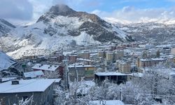 Hakkari’de 10 köy yolu ulaşıma kapandı