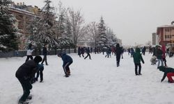 Hakkari ve ilçelerinde okullar tatil edildi!