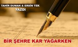 Bir Şehre Kar Yağarken