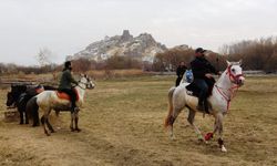 At çiftliğine ilgi büyük