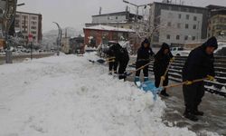 Hakkari Belediyesinin kar timleri görev başında