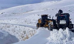 Van’da kapanan 420 yerleşim yolunun 280’i ulaşıma açıldı