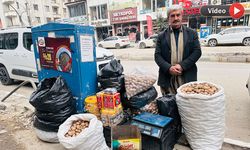 Yüksekova’da yerli cevizin fiyatı belli oldu