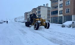 Yüksekova Belediyesi karla mücadele çalışmalası