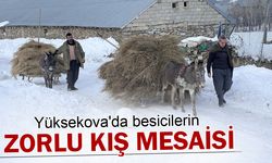 Yüksekova'da besicilerin zorlu kış mesaisi