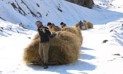 Hakkâri’de 2 Bin 500 rakımda tehlikeli yolculuk!