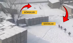 Yüksekova'da sahipsiz köpeklerin öğrencilere saldırısı cep telefonuyla kaydedildi