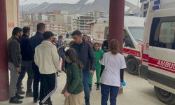 Hakkari'de öğrencilerin zehirlenmesine ilişkin İl Mili Eğitim Müdürlüğü'nden açıklama