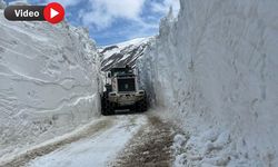 Hakkari genelinde karla mücadele baharda da sürüyor